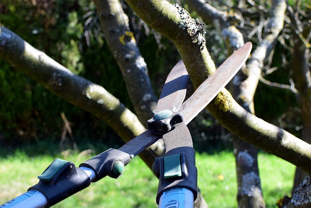 Specialized pruning tools