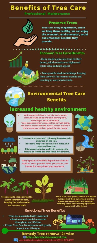 Remedy Tree Removal Service Infographics