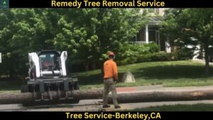Tree Service In Berkeley,CA